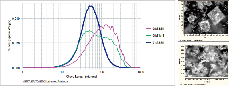 Example of In Situ Crystal Properties Evaluation