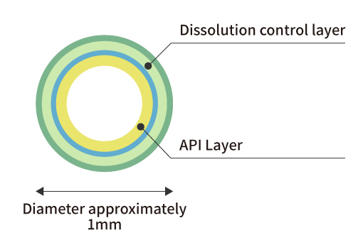 Granule with 4 Layers of Uniform Coating (depiction image figure)