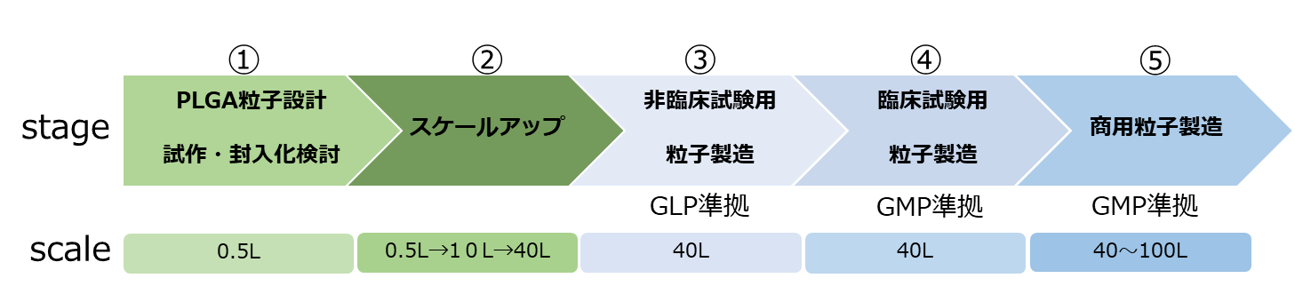 scale